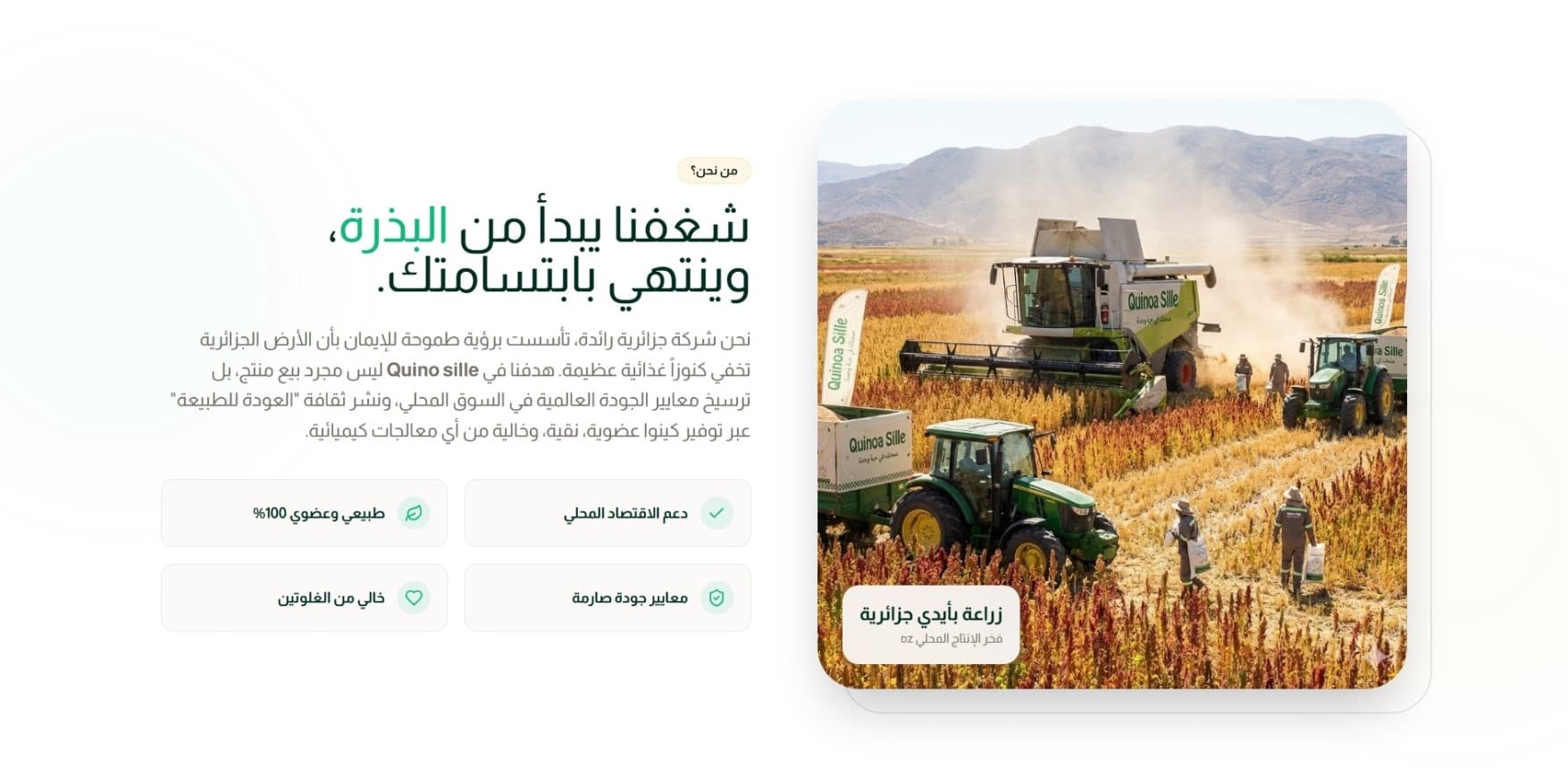 QuinoSille Screenshot 3