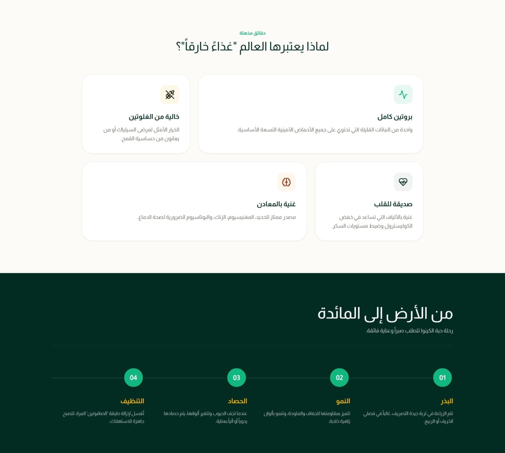 QuinoSille Screenshot 9